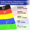 ResistanceBand-05.jpg Resistance Loop Exercise Bands – 5 Levels for Full-Body Fitness