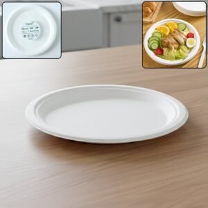 Round-Plate-01.jpg Disposable Round Food Serving Plate – 10 Pc Lightweight Set