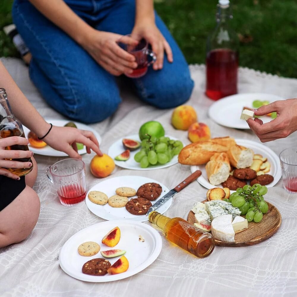 Round-Plate-06.jpg Disposable Round Food Serving Plate – 10 Pc Lightweight Set