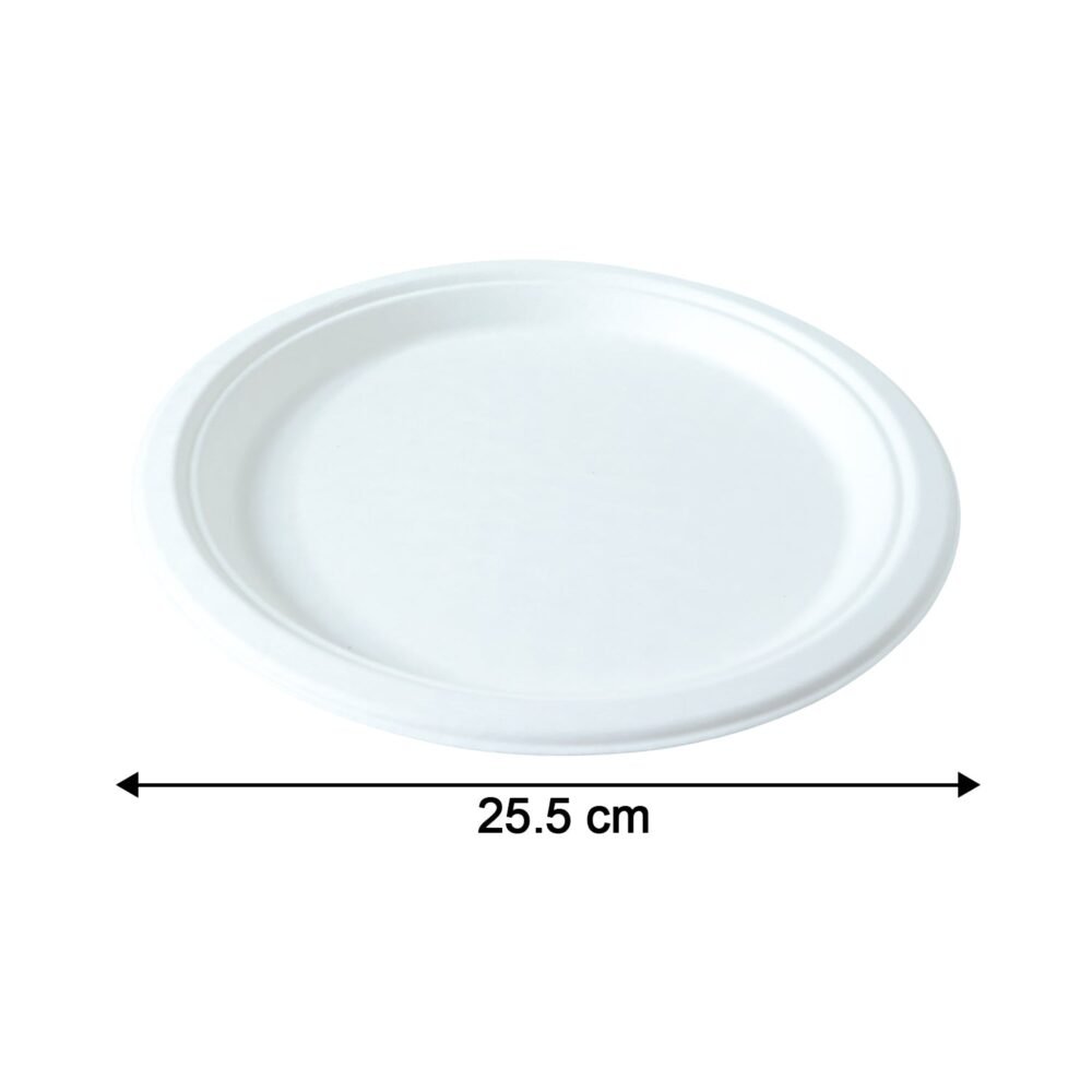 Round-Plate-07.jpg Disposable Round Food Serving Plate – 10 Pc Lightweight Set