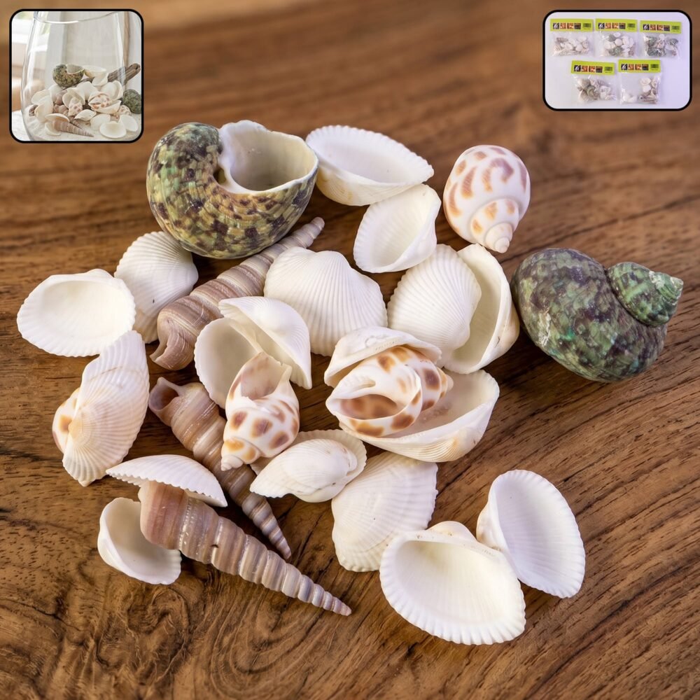 Sea-Stones-1_f3cc4ce6-cea3-4e19-80bc-325b6138f985.jpg Natural Decorative Seashells Set – Coastal Charm for Home Decor