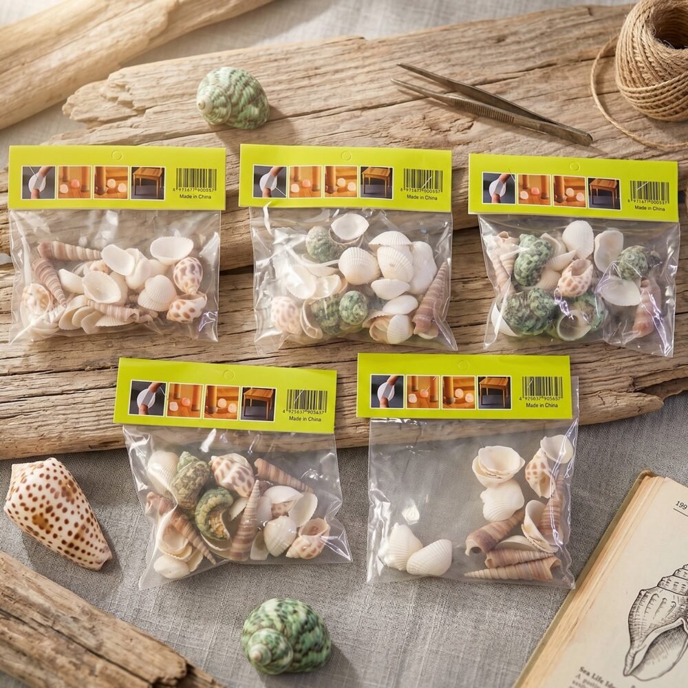 Sea-Stones-4_7ab9b696-a584-4411-bc90-875d1e525e04.jpg Natural Decorative Seashells Set – Coastal Charm for Home Decor
