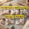 Sea-Stones-4_7ab9b696-a584-4411-bc90-875d1e525e04.jpg Natural Decorative Seashells Set – Coastal Charm for Home Decor