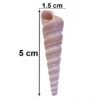 Sea-Stones-6_dbe25622-0a17-4d80-9988-9847acac188f.jpg Natural Decorative Seashells Set – Coastal Charm for Home Decor