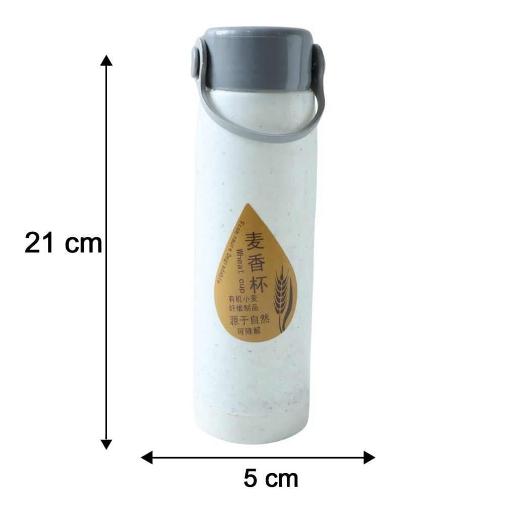 Glass Water Bottle with Phone Holder – Leakproof & Stylish Design