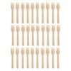 Wooden Fork 160mm – Eco-Friendly Disposable Birchwood Cutlery