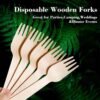 Wooden Fork 160mm – Eco-Friendly Disposable Birchwood Cutlery