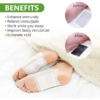 imageedit_0_7835027859 Detox Foot Pads with Ginger & Salt – 10 Pcs | Velvet Wellness