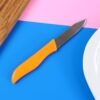 Paring Knife – Ultra-Sharp Stainless Steel Precision Cutter