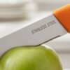 Paring Knife – Ultra-Sharp Stainless Steel Precision Cutter