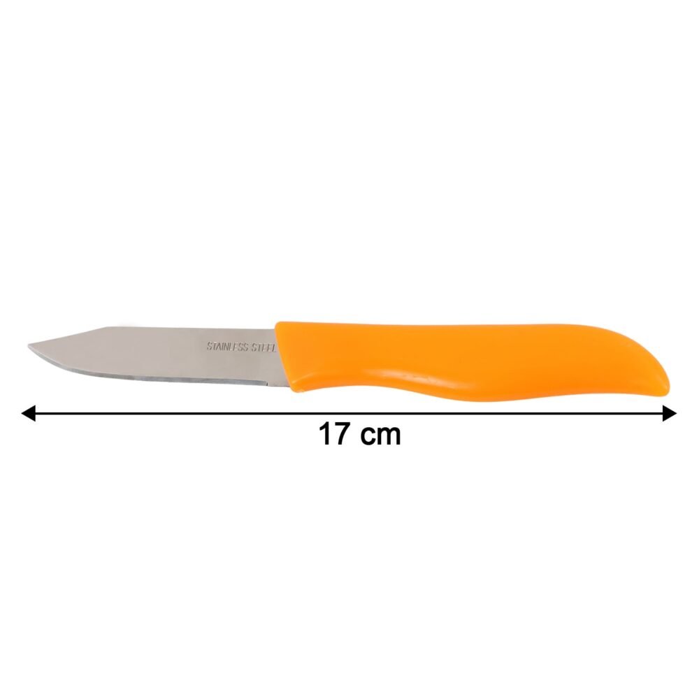 Paring Knife – Ultra-Sharp Stainless Steel Precision Cutter