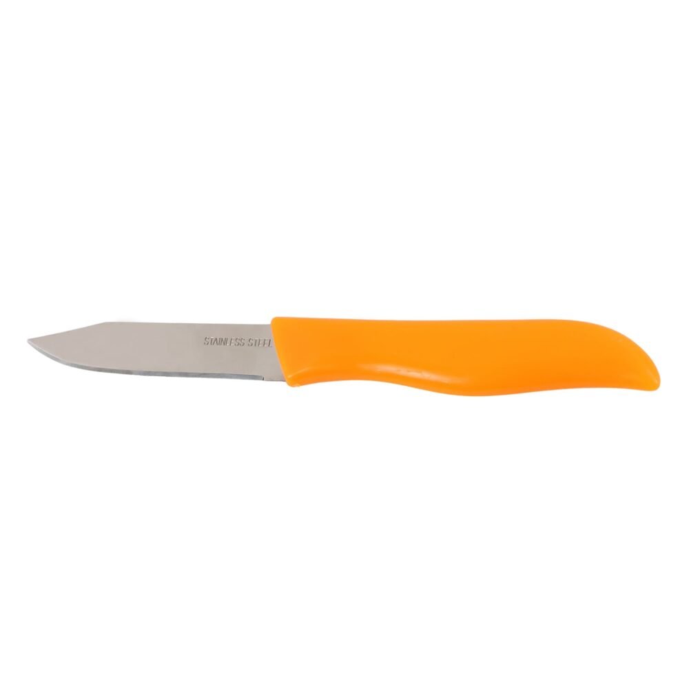 Paring Knife – Ultra-Sharp Stainless Steel Precision Cutter