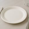 plate-07.jpg Plastic Round Dinner Plate – 23 cm Durable & Glossy