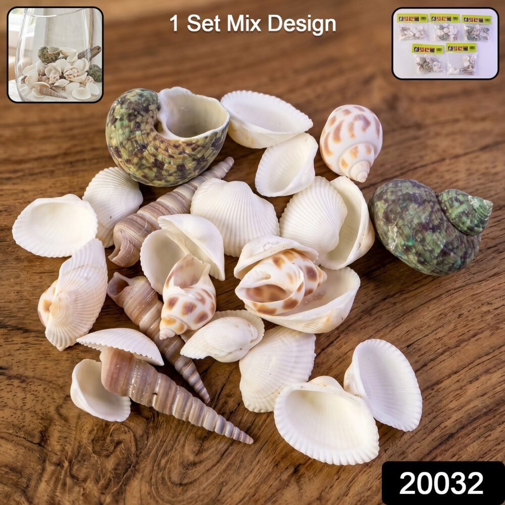 sku_964b7c3e-ff23-4ee8-a0cb-7a002546f211.jpg Natural Decorative Seashells Set – Coastal Charm for Home Decor