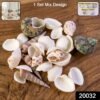 sku_964b7c3e-ff23-4ee8-a0cb-7a002546f211.jpg Natural Decorative Seashells Set – Coastal Charm for Home Decor