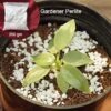 Perlite Soil Conditioner – Enhances Root Growth & Drainage | Indo Glow