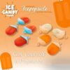 Ice Candy Maker – 4 Compartment Homemade Kulfi Mould | Konvex