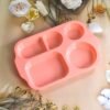 5-Compartment Food Plates – Unbreakable & Multicolor Set | Jiaqi