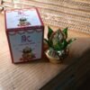 LED Kalash – Gold Plated, Multicolor Light for Pooja | Styleva