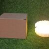 Pearl Shell Night Lamp – Elegant LED Decor | Indo Glow