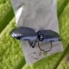 Keychain Nail Clipper – Portable with Built-in File | AuriGlam